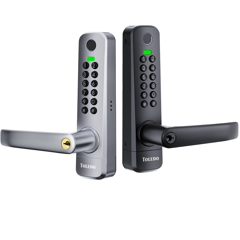 Toledo Nexus Electronic Waterproof Gate Lock (Black.)
